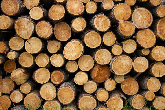 Holz-Textur Stapel