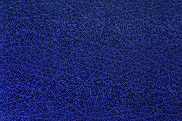 Blue leather texture background surface.