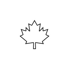 Maple leaf vector illustration