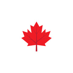 Maple leaf vector illustration