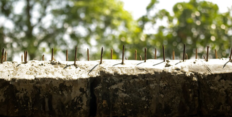 Beautiful picture of wall and spike and blur tree.