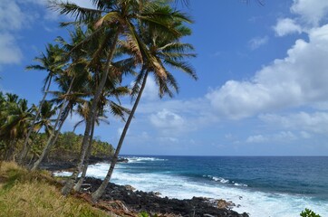 Fototapeta na wymiar Idyllic remote tropical beach with palm trees at Big Island, Hawaii, USA