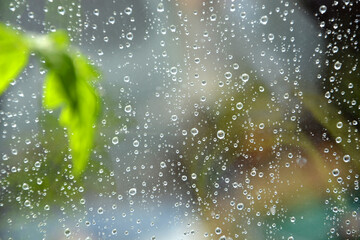 Raindrops on the transparent window pane. Background of raindrops on a wet, gray and opaque glass texture. Outside the window, rainy summer weather. Flowers on the window, blurred foreground.