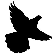 silhouette of a flying dove on a white background