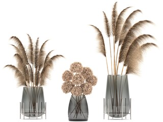 Decorative dried flowers in a vase of reeds on white background