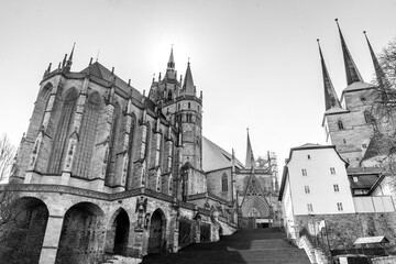 Fototapeta premium Erfurter Dom - Schwarz Weiß