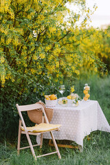 Picnic outdoors. Preparations for the picnic. Garden decoration with lemons and mint lemonade jar. Relax concept
