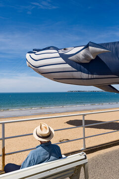 man relaxing on the beach looking at the giant kite in Pornichet