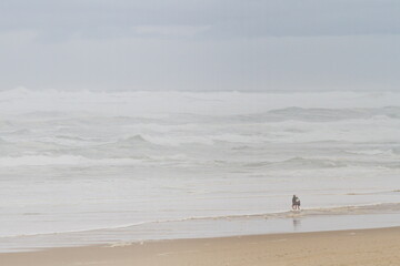 People walking on the beach. Social distancing.