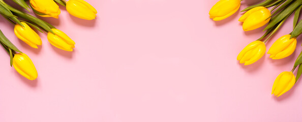 Flower yellow tulip background. Floral frame with pink spring flowers. 