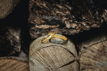 Beautiful wedding rings close up
