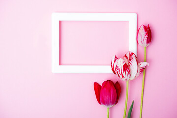 Background flowers frame. Photo frame with tulips. Postcard to the day of the teacher. Wedding invitation cards.