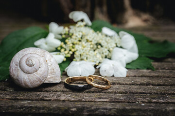 Fototapeta na wymiar Beautiful wedding rings close up