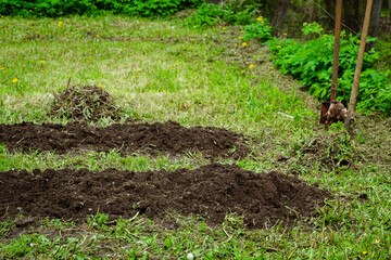Two freshly dug seedbeds in vegetable garden. Spring season in countryside