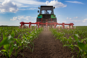 Tractor harrowing corn field - obrazy, fototapety, plakaty