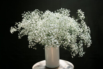 Gypso flowers in day light on dark background 
