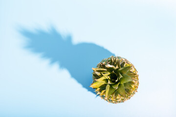  pineapple with a hard trendy shadow on a blue background. summer concept. copy space, minimalism, top view.