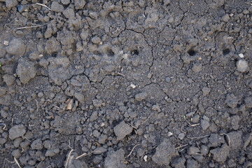 lunar soil