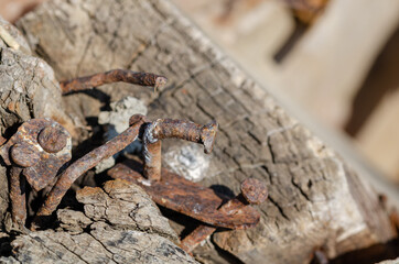 Rusty nails on the old wooden board.