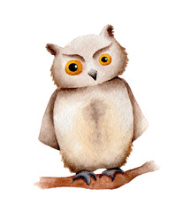 owl children's illustration cartoon brown and cute