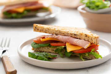 Close up toasted sandwich with ham, vegetables and cheese.