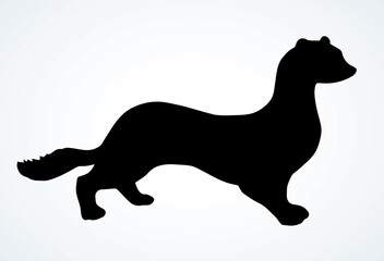 Least weasel. Vector drawing icon