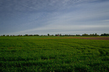 many green fields and blue sky