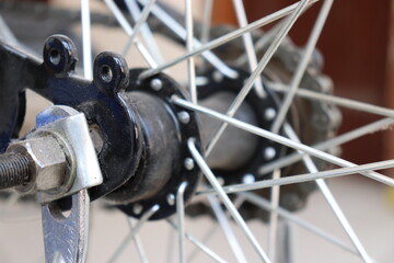 Fototapeta na wymiar Close up of Cycle spikes