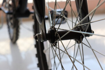 Cycle Wheel Spikes with pedal in the background
