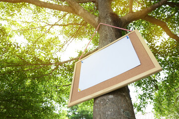 white paper post blank text message note on notice board hanging on tree in garden