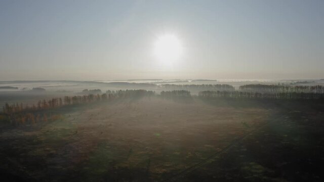 Autumn landscape, morning mist rises over fields, meadows and rows of trees. Flying a quadcopter in the morning fog to meet the sun.