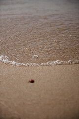 Beach and sea
