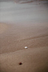 Beach and sea