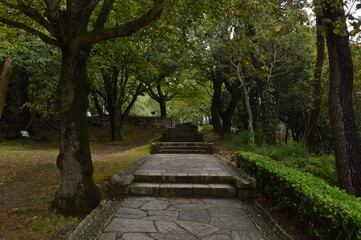 Camino