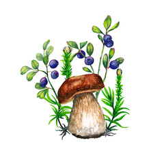 Beautiful card of realistic woodland plants. Boletus mushroom, green grass and small bush with blueberries. Watercolor hand painted isolated elements on white background.
