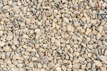 Apple tree flowers close up. blurred spring background