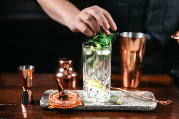 Professional bartender preparing and mixing cocktails at bar counter. Mojito cocktail served in...