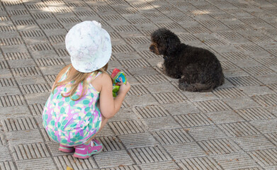 Ni&ntilde;a observando a perro.