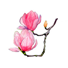 Hand painted pink magnolia
