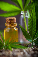 Hemp oil cosmetic medical legal marijuana leaves seed stained bottle wooden background