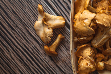 Chanterelle mushrooms, Raw wild chanterelles mushroom on rustic background close-up. Organic Fresh chanterelle on a table. Mushrooms chanterelle on table. Raw wild mushrooms chanterelles. 