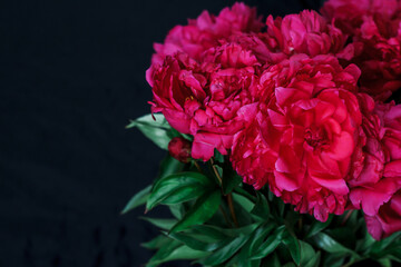 bouquet of peonies on a black background