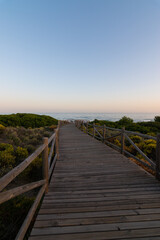wooden path to the beach