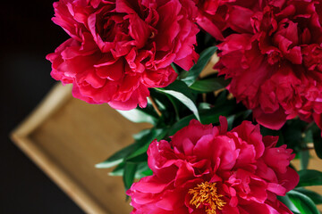 red peonies close-up from above