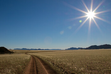 Fototapeta premium Grasslands with sunburst and dirt road