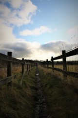 Obraz premium muddy path
