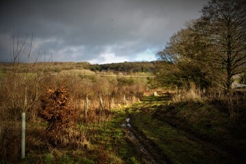 Fototapeta premium muddy track