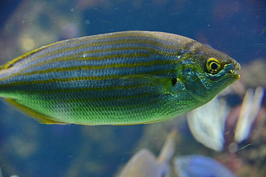 2066 Images – Browse 114 Stock Photos, Vectors, and Video | Adobe Stock