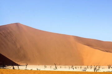 Fototapeta na wymiar Dune 5 in desert second largest dune in world 325m