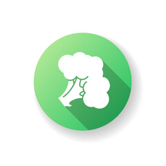Broccoli green flat design long shadow glyph icon. Fresh vegetable. Whole vitamin veggie. Harvest product from grocery store. Raw vegetable for healthy eating. Silhouette RGB color illustration